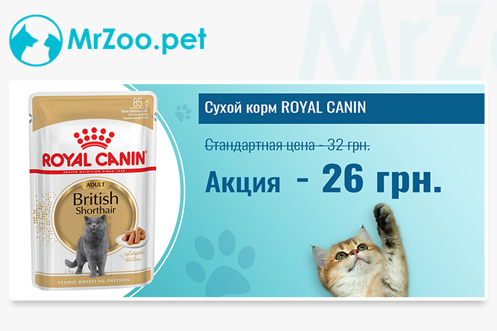 Баннеры для интернет магазина mrzoo.pet