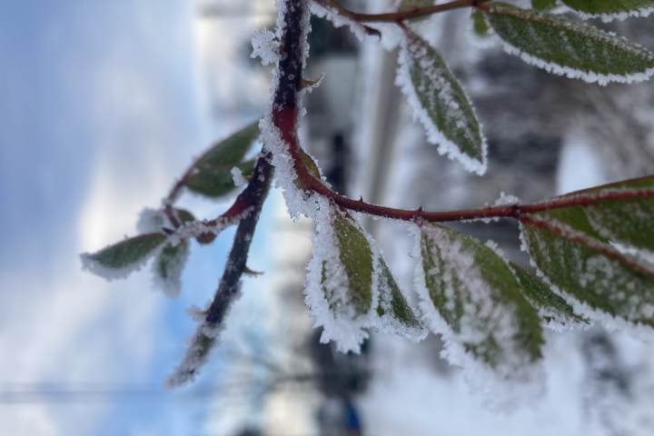 Первый мороз