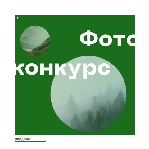 Экодвиж