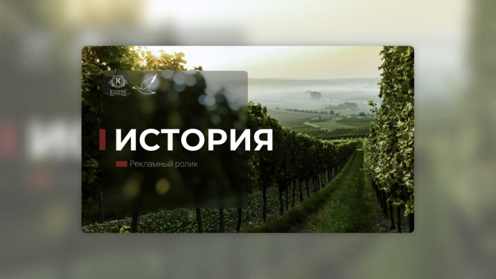 История. Режиссерский тритмент