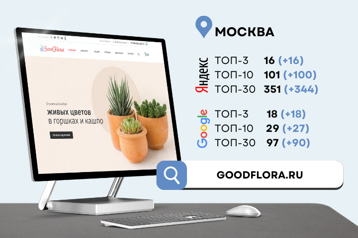 SEO-продвижение ИМ живых цветов в горшках