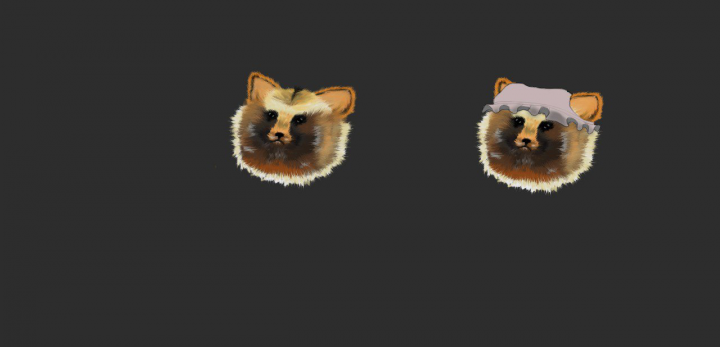 Тануки (енотовидная собака)