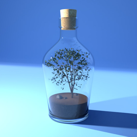 дерево в бутылке