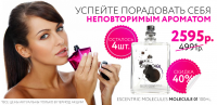 Работа 2263163