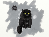 Кот