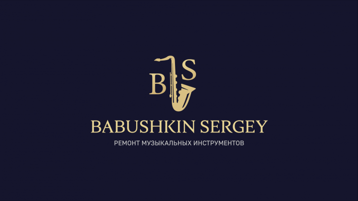Анимация логотипа BS