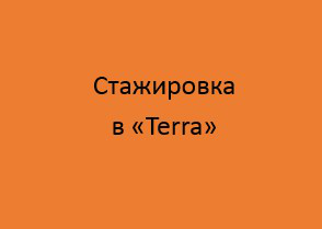 Стажировка в некоммерческой организации “Terra”