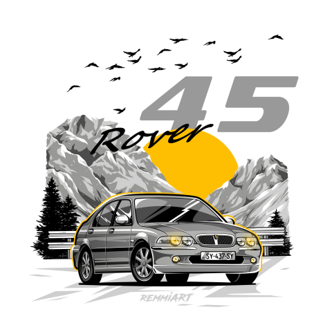 Rover 45