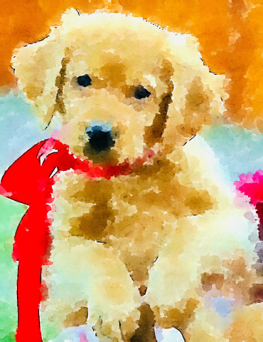 Иллюстрации