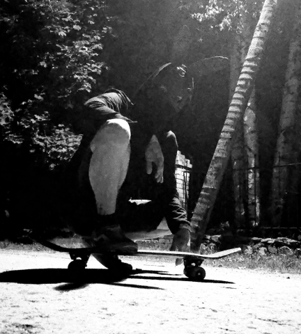 Фото-портрет "Лови гранж" сценический образ музыканта "VISHERA"