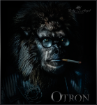 Работа 2695050