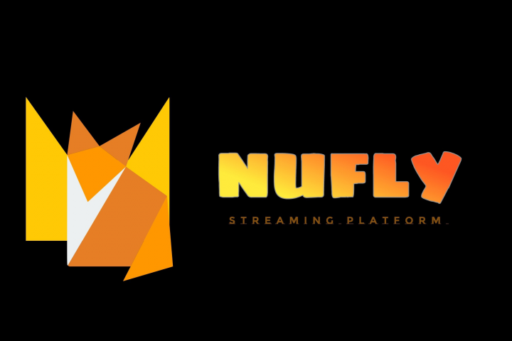 Логотип выдуманной платформы "NUFLY"