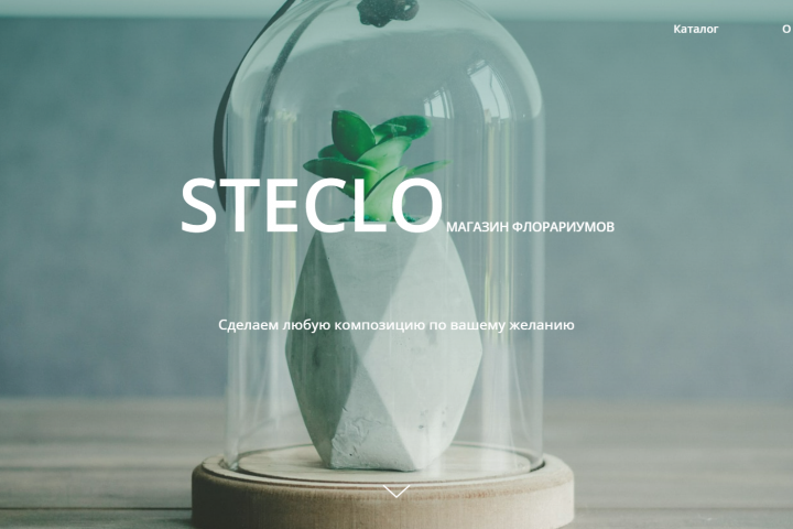 Магазин флорариумов "STECLO"