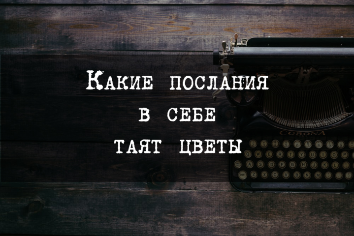 Какие послания в себе таят цветы