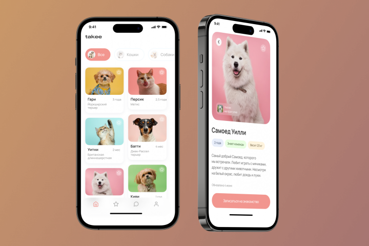 Интернет-магазин домашних животных