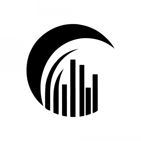 Логотипа для IT-компании,