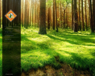 Сайт по продаже пиломатериала