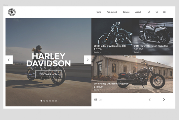 Speed Shop Harley Davidson