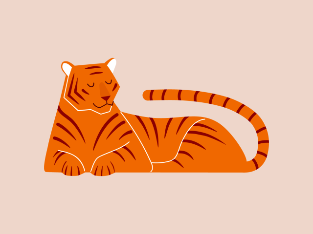 Тигр