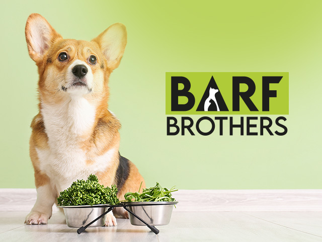 Logo BarfBrothers