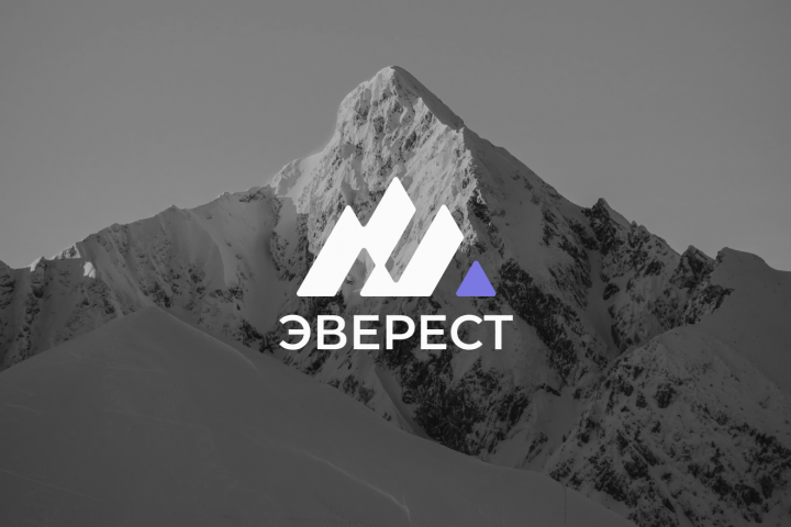 брендинг для образовательной платформы Эверест