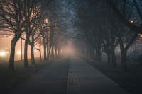 fog