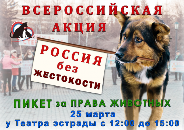 Макет для соц. сетей для Благотворительного Фонда Зоозащита