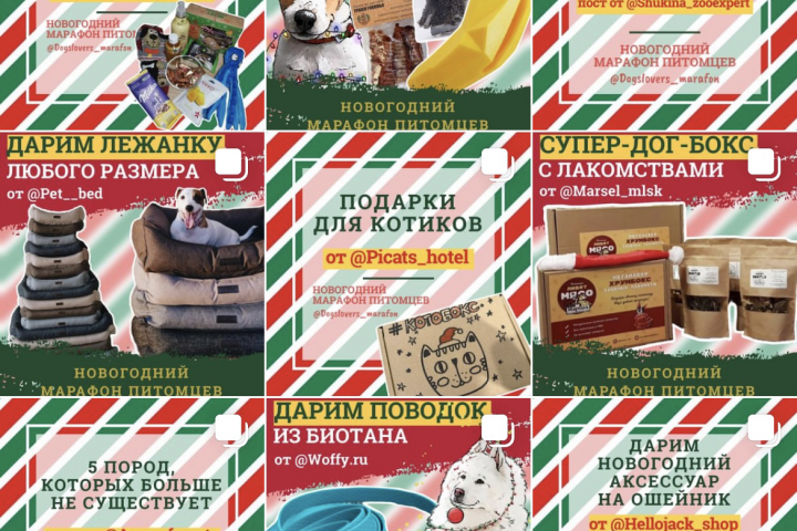 Оформление ленты Instagram
