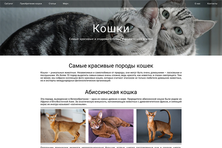 Статья о кошках
