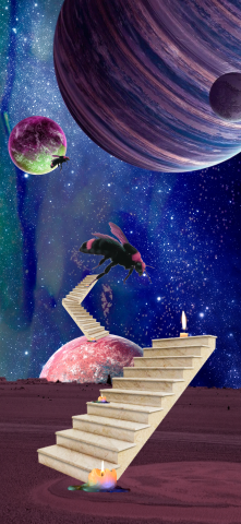 Обои для телефона