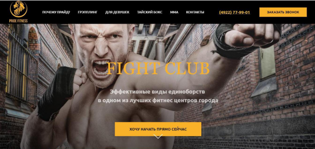 Дизайн сайта по бойцовской тематике