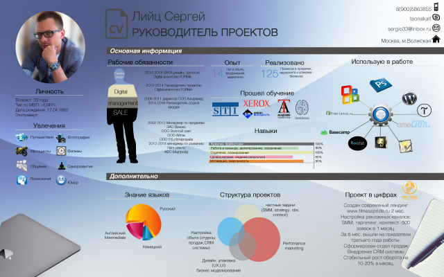Пример инфографики в резюме