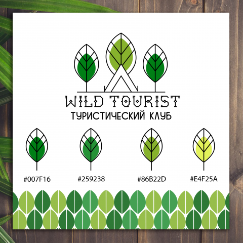 Брендбук для туристического клуба