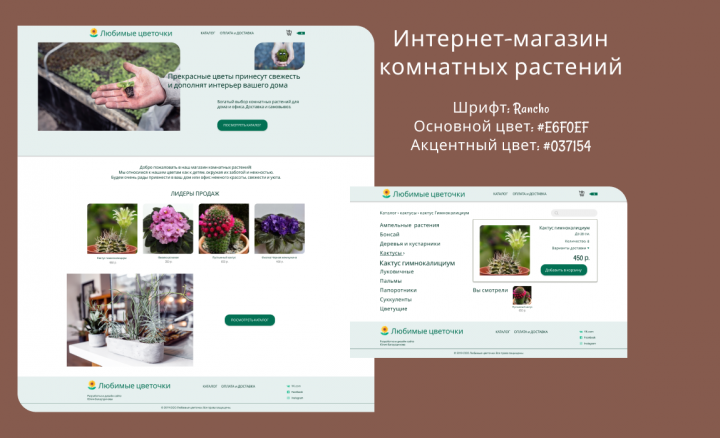 Интернет-магазин комнатных растений
