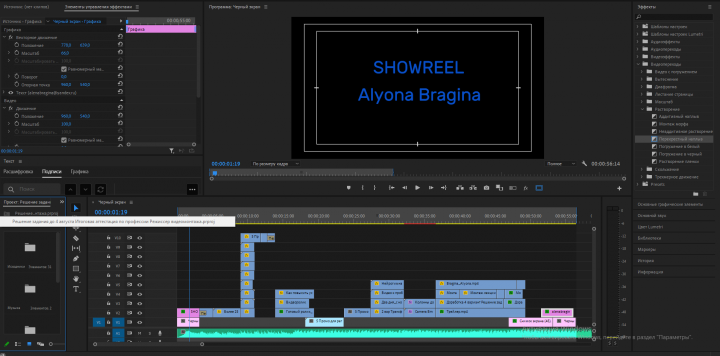 Showreel Alyona Bragina