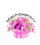 Работа 2679633