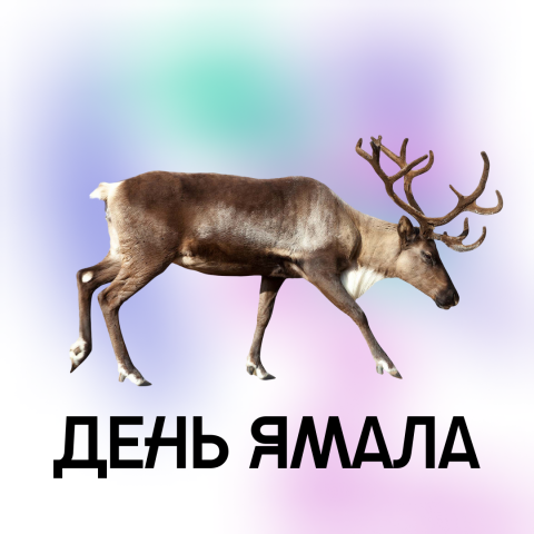 Дизайн поста для ВКонтакте