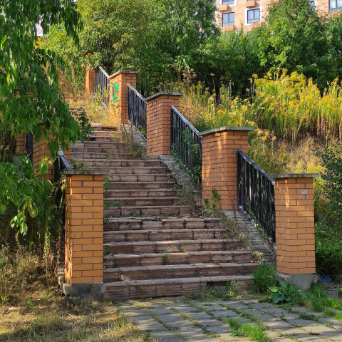 Зелень (2)