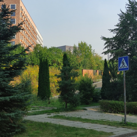 Зелень (1)