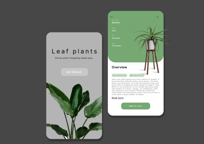Leaf plants