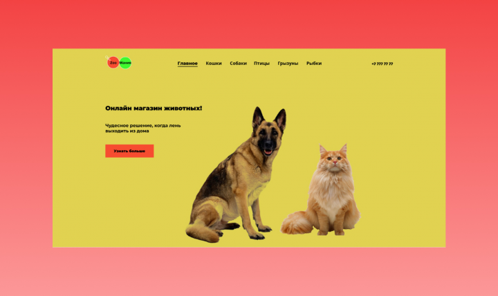 Онлайн -магазин животных.