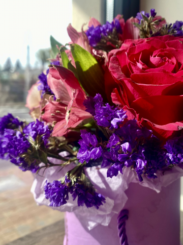 Фото растений, доя магазина