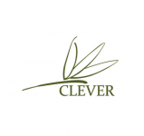Логотип туристической компании "Сlever"