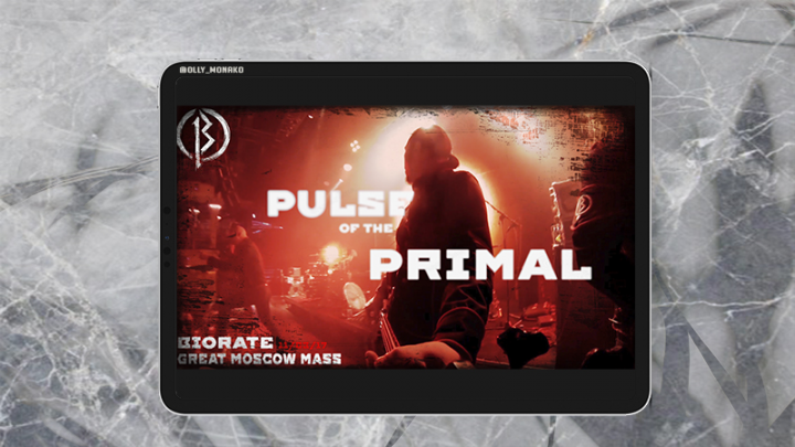 «BIORATE» live clip (мультикамерный монтаж)