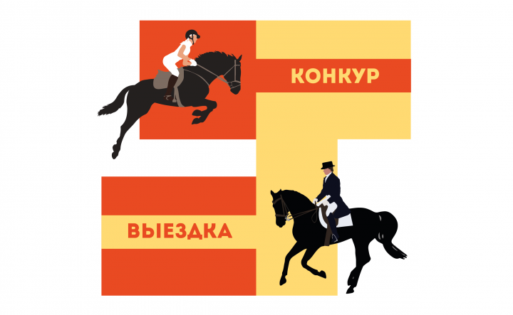 Иллюстрация для справочника "виды конного спорта"