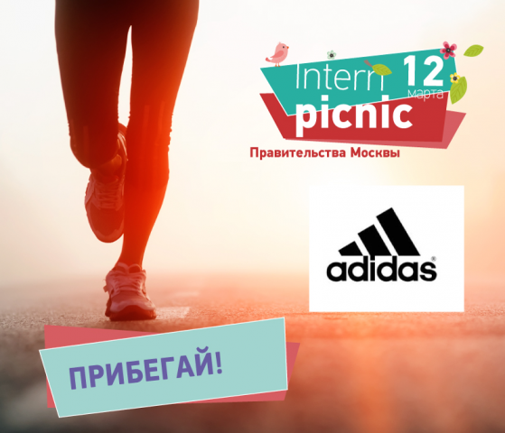 internpicnic 2017