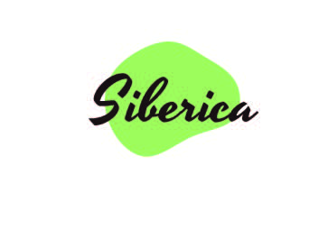 Гид по фирменному стилю "Siberica"
