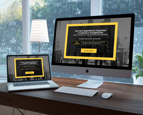 Разработка Landing Page для Бизнес-Разбора
