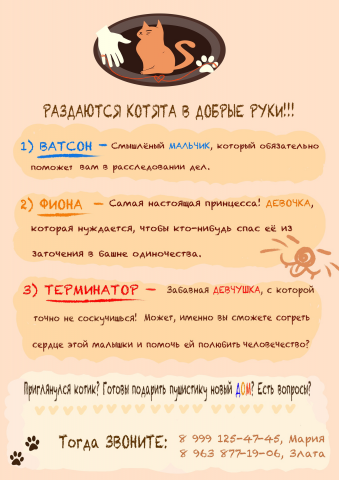 Статья "ищем котятам дом". Текст и оформление полностью моё.