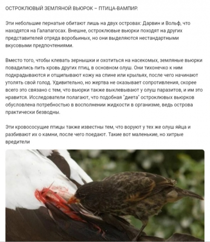 Практика в универститете.